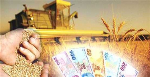 Tarım destek ödemeleri başladı