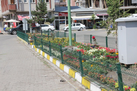 Ardahan Çiçek Cenneti Oldu,Yolların Durumu Kötü