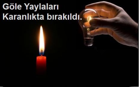 Göle&#8217;de 4 Yaylanın Elektrik Kablosu çalındı