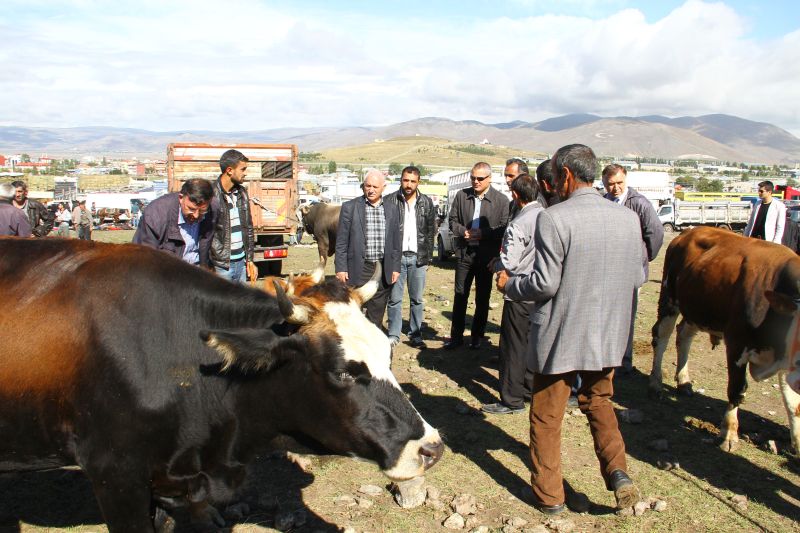 120 milyon TL Ardahan'a geri dönsün!