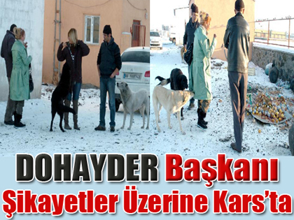 'Hayvanların Yaşam Alanlarını Daralttık?