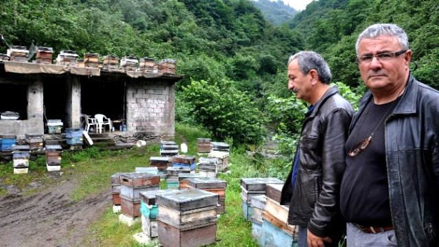 Mevsim şartları arıcıları ters köşeye yatırdı