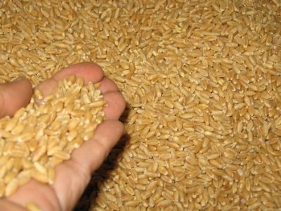 Tarım son 14 çeyrekte büyüdü, Ardahan&#8217;da da geriledi