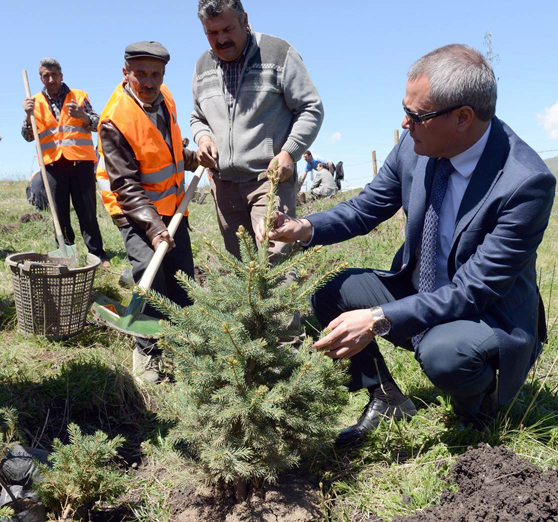 Ardahan'da her köye bir orman geliyor!
