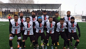 Arılar, Hoçvan'a bal gibi geldi