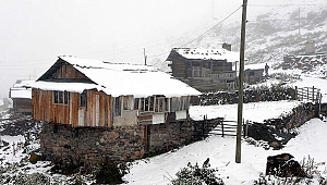 Doğu Anadolu'da kar yağışı