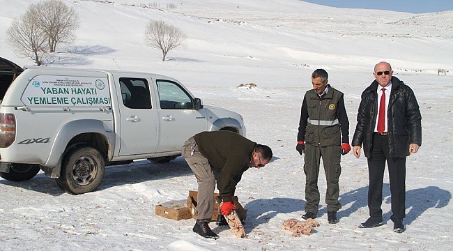 Hayvanlar için doğaya yem bırakıldı