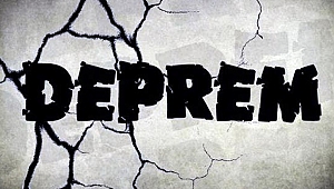 Posof'ta 4.1'lik deprem