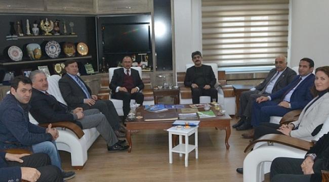 Sokak Hayvanları Rehabilitasyon Projesi