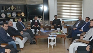 Sokak Hayvanları Rehabilitasyon Projesi