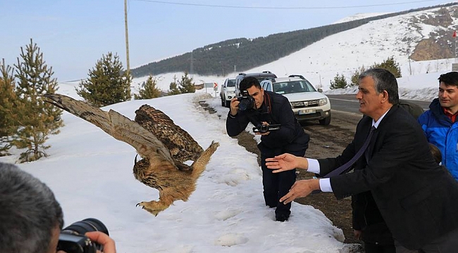 Vali Özefe Puhu Kuşunu Doğaya Bıraktı