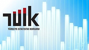 243 TRAFİK KAZASI MEYDANA GELDİ