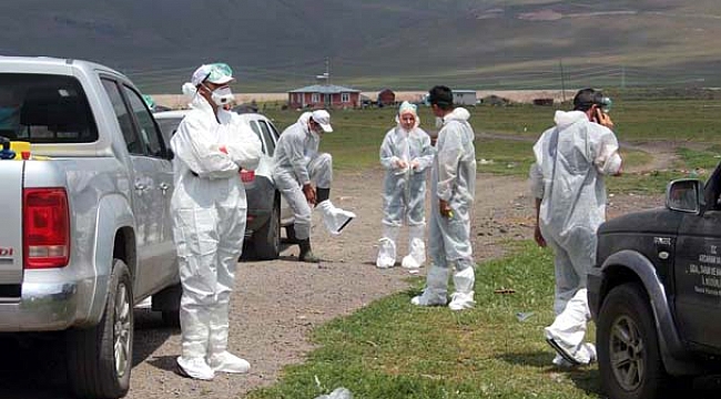 Ardahan’da kuş gribi şüphesi