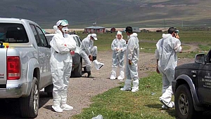 Ardahan’da kuş gribi şüphesi