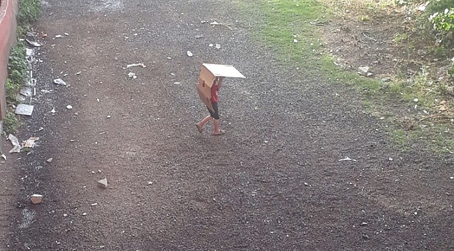 Yağan yağmur sevindirdi