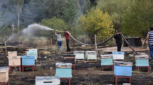Kafkas Arısı Gen Merkezi'nde yangın