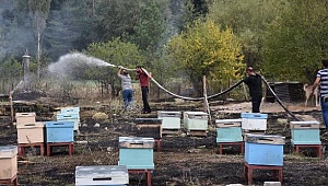 Kafkas Arısı Gen Merkezi'nde yangın