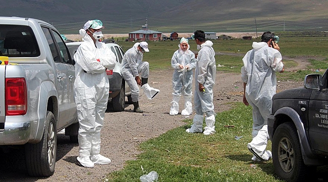 Kaz tavuk ödemeleri 29 Eylül’de yapılacak