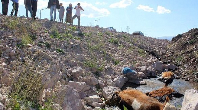 Yollara dökülen sıcak asfalt kriterlere uygun mu?