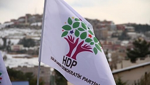 Ardahan HDP İl Başkanı gözaltına alındı