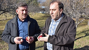 Elmayı yediler kıpkırmızı oldular!