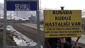 Hanak, Sevimli, Börk ve Binbaşak'ta kuduz vakası