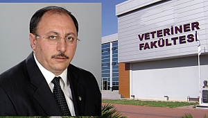 Çetin: Ardahan'da Veteriner Fakültesi açılmalı