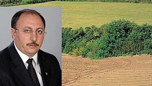 Çetin: Yerel kalkınma önceliğimiz olmalı