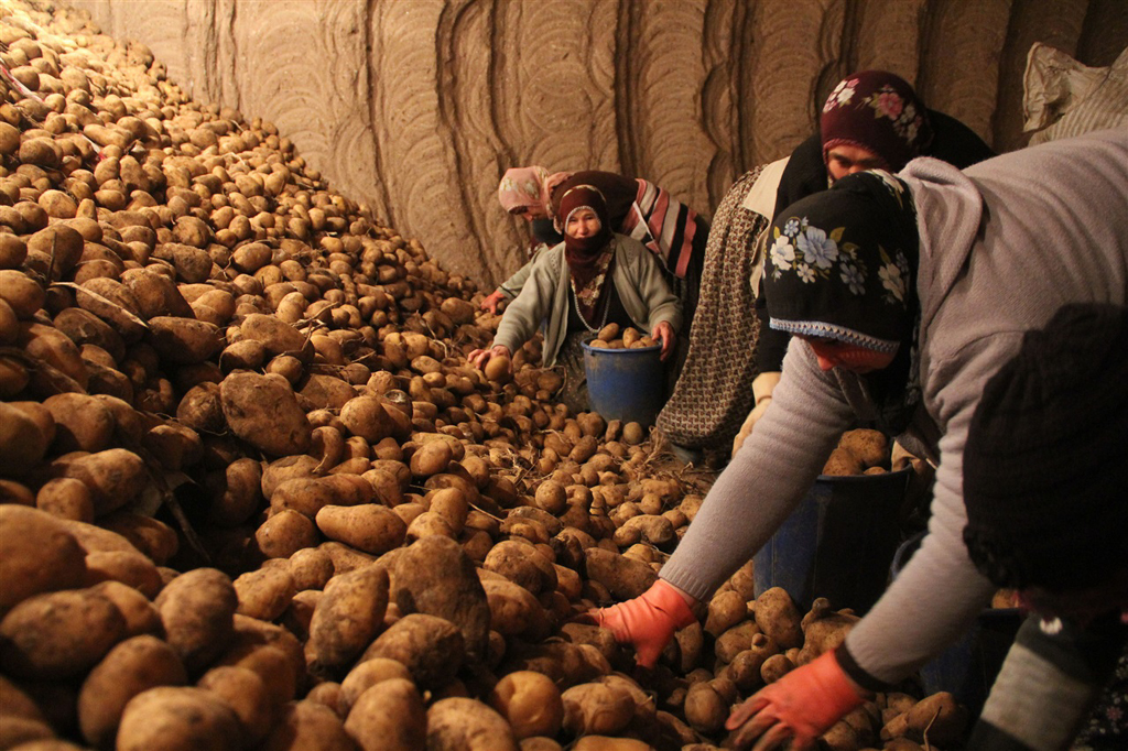 TZOB’dan “patates tüketelim” çağrısı