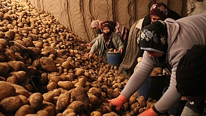 TZOB’dan “patates tüketelim” çağrısı