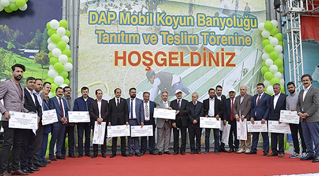 Ardahan'da koyunlar banyo yapacak