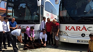 Kazayı def etmek için kurban kestiler