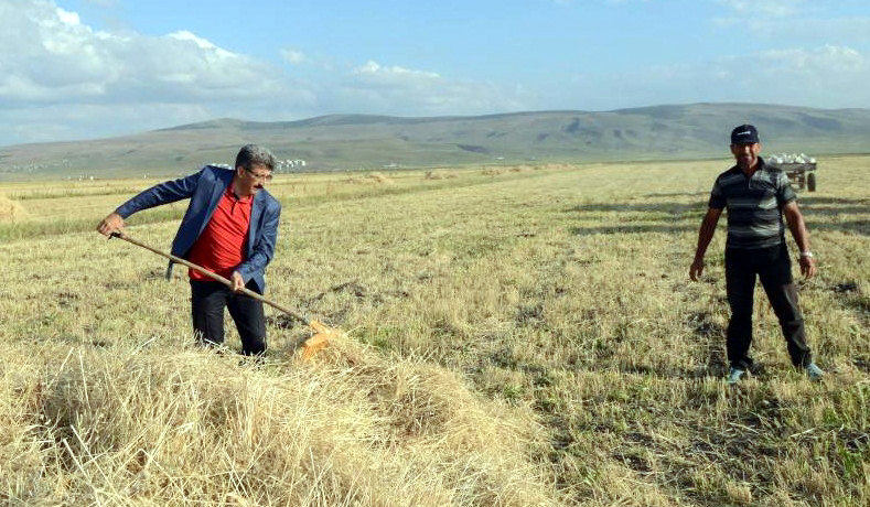 16 bin genç çiftçiye 503 milyon TL hibe