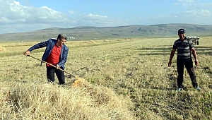 16 bin genç çiftçiye 503 milyon TL hibe