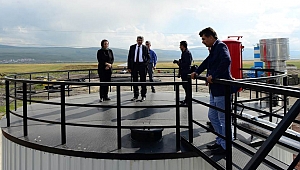 Bir Anıl Aksel klasiği daha!