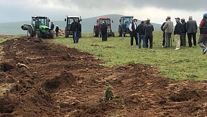 Sınırda büyük gerginlik