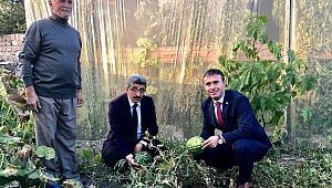 Göle’de karpuz yetişti!