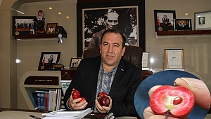 Kırmızı elma için Coğrafi İşaret çalışması başladı