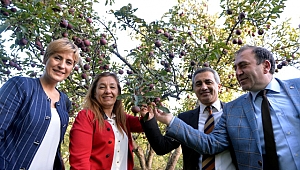Kırmızı elma için sona yaklaşıldı