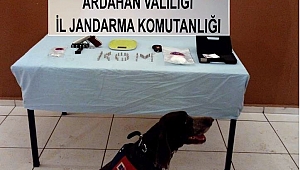JANDARMA GÖZ AÇTIRMIYOR