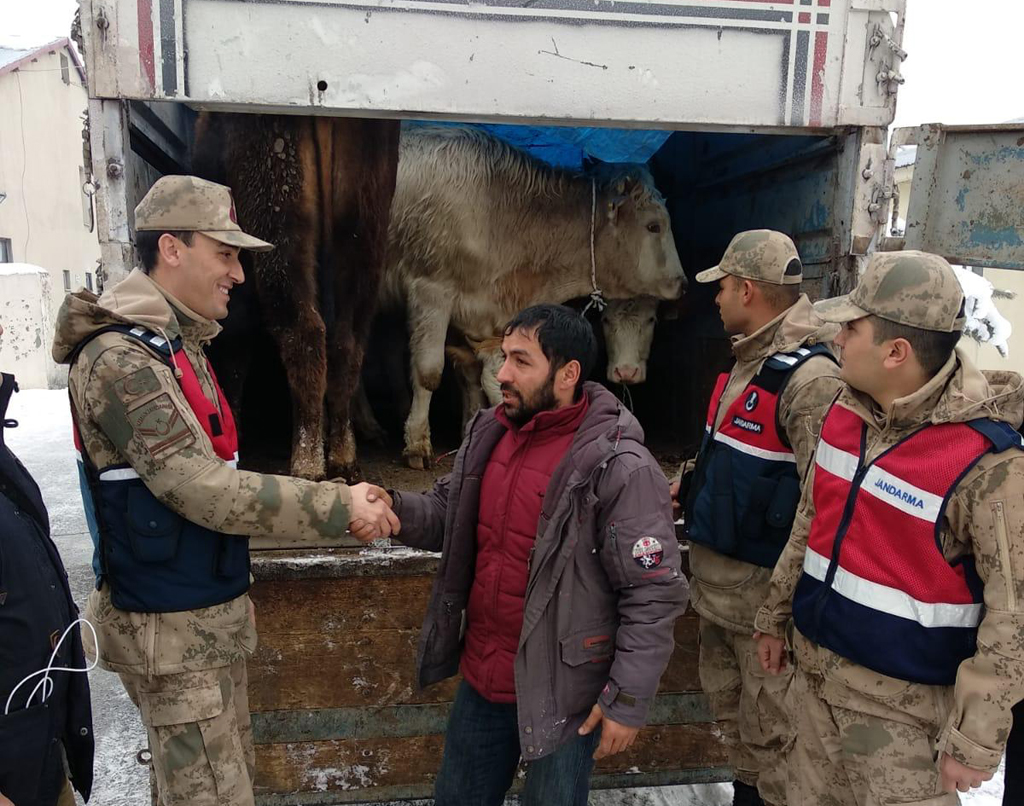 Çetinsu’dan çalınan hayvanlar bakın nerede çıktı!