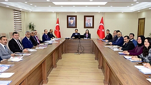 5 başlıkta 'Gönül Elçileri Projesi'