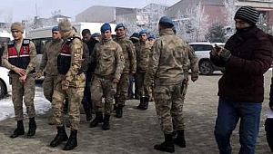Hibe hayvan dolandırıcılığı: 13 tutuklama