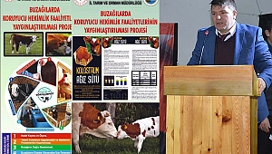 SEPTİSEMİ AŞISIYLA ARTIK BUZAĞILAR ÖLMEYECEK 