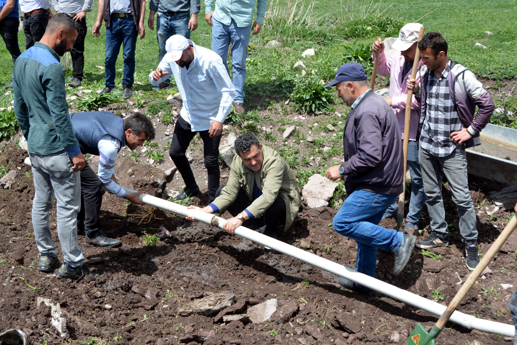 Belediyeden, hayvanlar için su çalışması