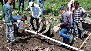 Belediyeden, hayvanlar için su çalışması