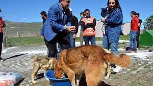 DEMİR: HAYVANLAR BİZDEN SEVGİ BEKLİYOR