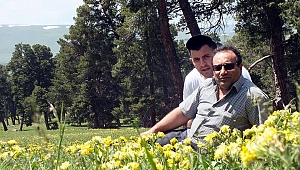 Acar Dağ’dan Orman Festivali önerisi