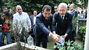 ENSAR ÖĞÜT, CHP’NİN A TAKIMINDA