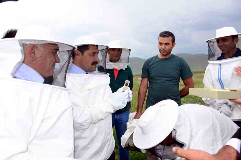 Kafkas Arı Konağı projesi hayata geçiyor